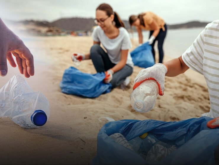 Environmental Activism: Protecting Our Planet