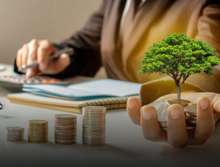 Investing for Beginners Building Wealth Over Time
