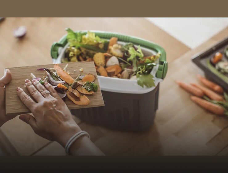 Zero Waste Kitchen Tips and Tricks for a Sustainable Space